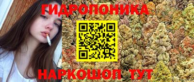 jwh Новокубанск