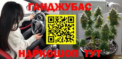 jwh Новокубанск