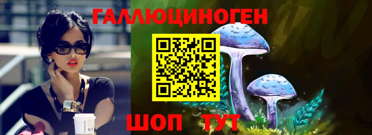 Псилоцибиновые грибы мухоморы  Вход с VPN  Псилоцибиновые грибы GOLDEN TEACHER  Сланцы 